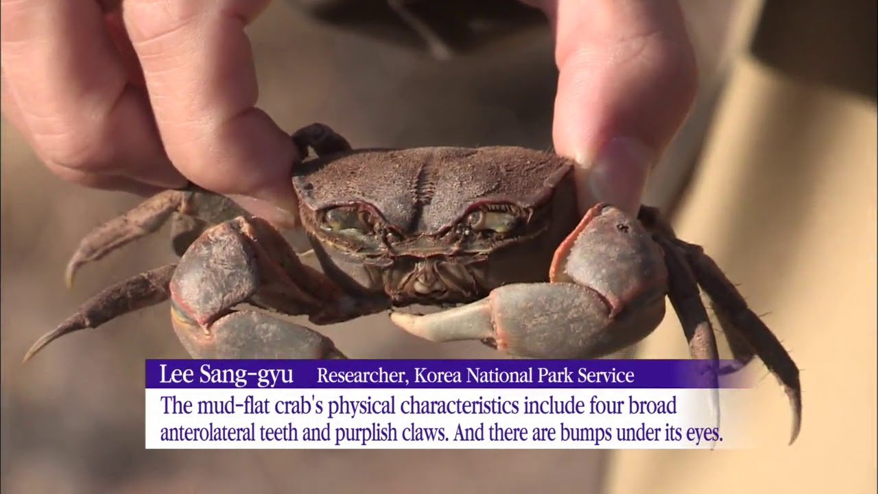 🌳 코아지로 숲(코아지로노모리) 이미지 4